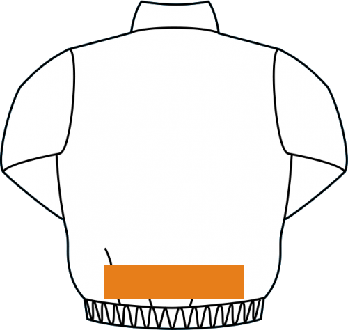 背中裾(32cm×10cm以内)