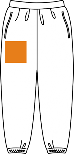 右前(12cm×12cm以内)