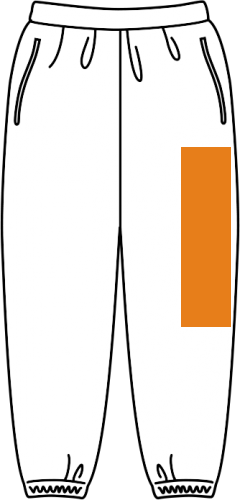 左側前(12cm×32cm以内)