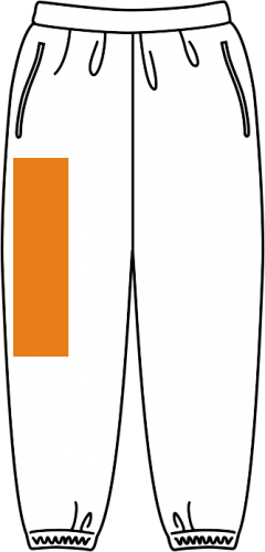 右側前(12cm×32cm以内)